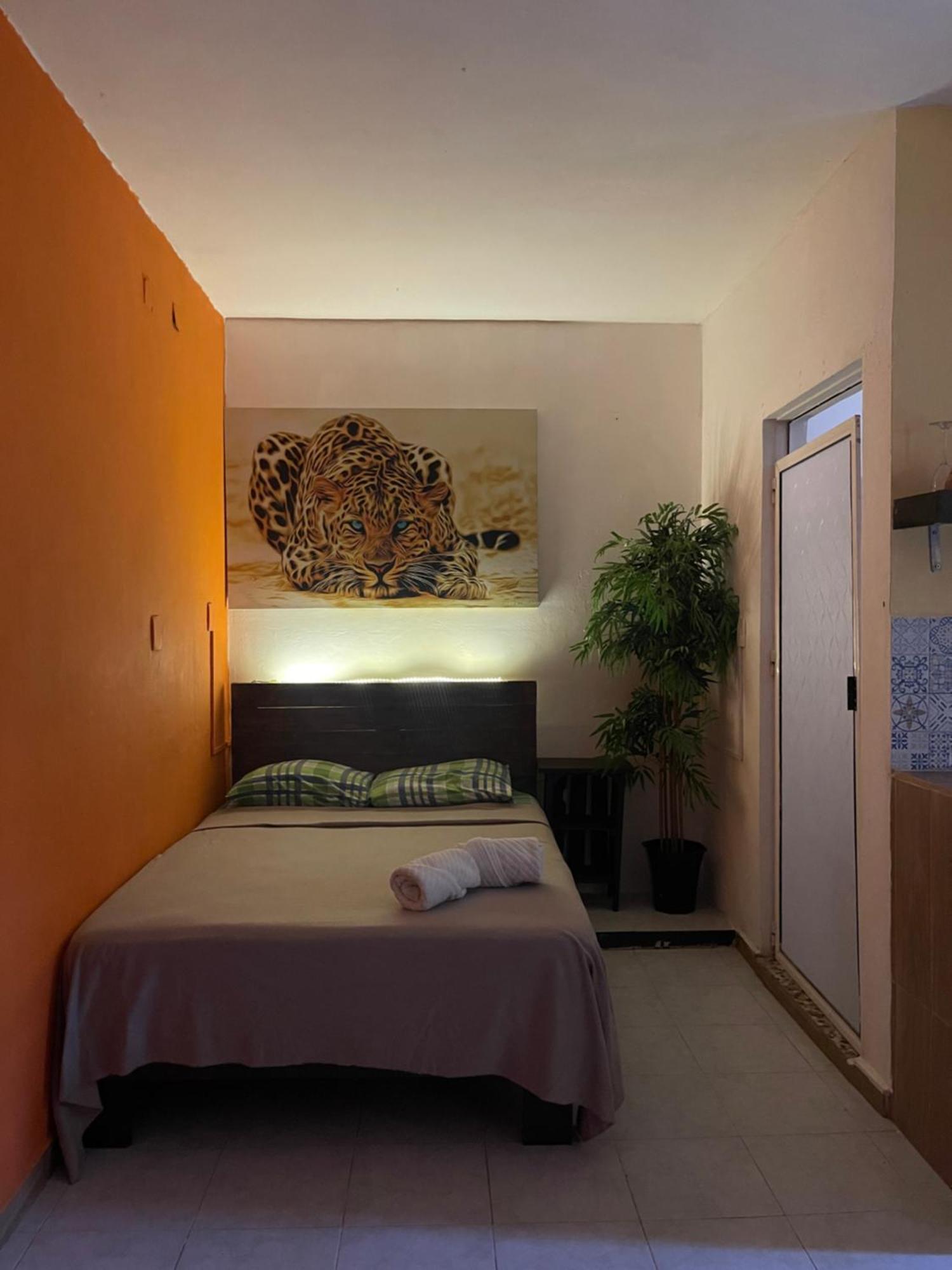 Casa Mar Apartment Playa del Carmen Exterior foto